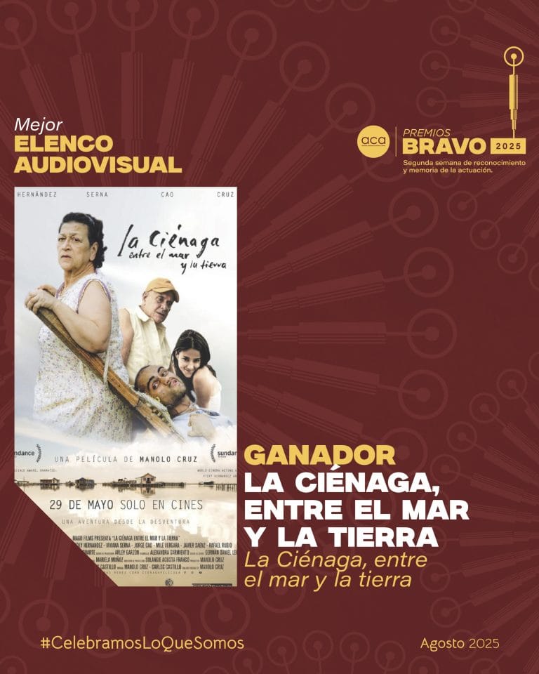 Ganadores audiovisual-01